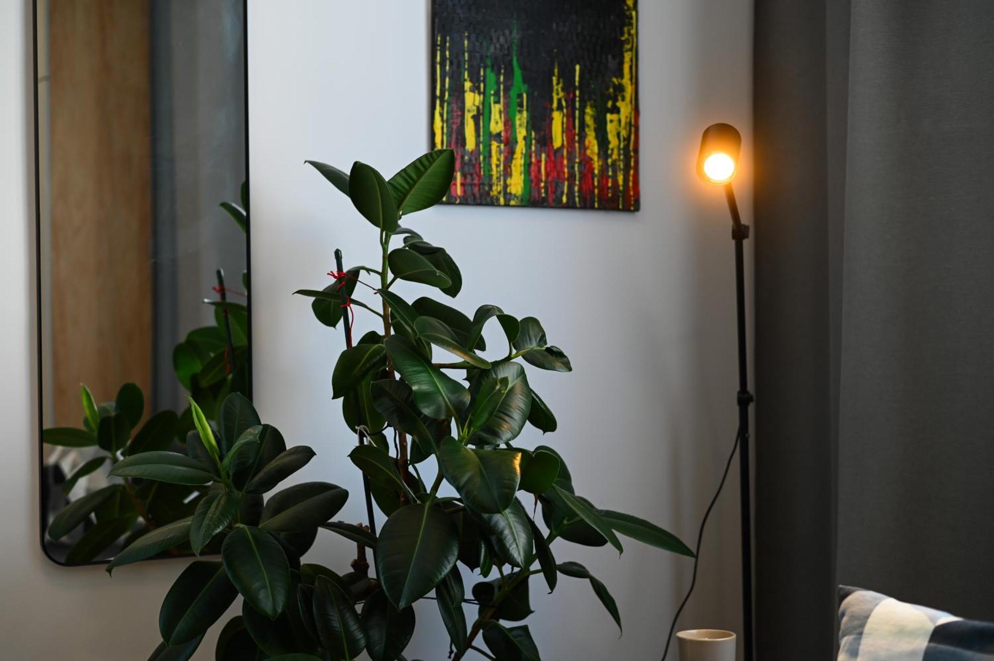 City Center Studio - Comfy & Modern Bratysława Zewnętrze zdjęcie